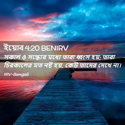 Picture 02 - ইয়োব 4:20 BENIRV - সকাল ও সন্ধ্যের - Bible Verse Picture