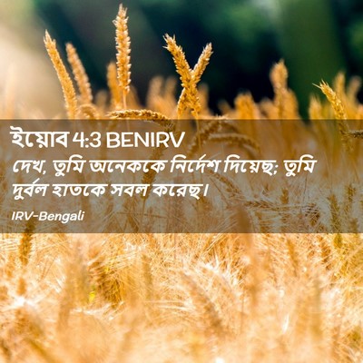 Picture 02 - ইয়োব 4:3 BENIRV - দেখ, তুমি অনেককে - Bible Verse Picture