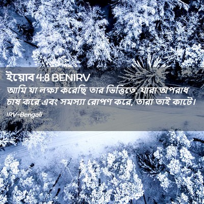 Picture 02 - ইয়োব 4:8 BENIRV - আমি যা লক্ষ্য - Bible Verse Picture