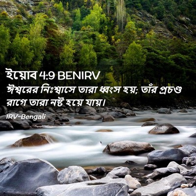 Picture 02 - ইয়োব 4:9 BENIRV - ঈশ্বরের নিঃশ্বাসে - Bible Verse Picture