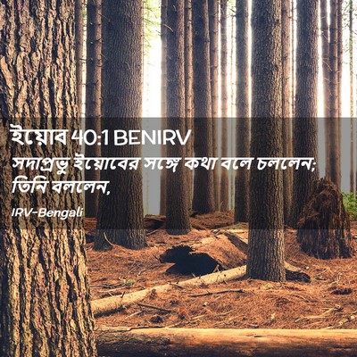 Picture 02 - ইয়োব 40:1 BENIRV - সদাপ্রভু ইয়োবের - Bible Verse Picture