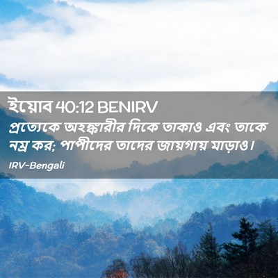 Picture 02 - ইয়োব 40:12 BENIRV - প্রত্যেকে - Bible Verse Picture