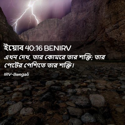 Picture 02 - ইয়োব 40:16 BENIRV - এখন দেখ, তার কোমরে - Bible Verse Picture