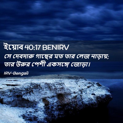 Picture 02 - ইয়োব 40:17 BENIRV - সে দেবদারু গাছের - Bible Verse Picture