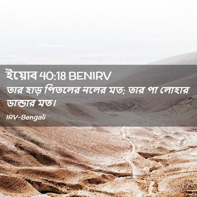 Picture 02 - ইয়োব 40:18 BENIRV - তার হাড় পিতলের - Bible Verse Picture