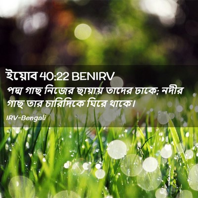 Picture 02 - ইয়োব 40:22 BENIRV - পদ্ম গাছ নিজের - Bible Verse Picture