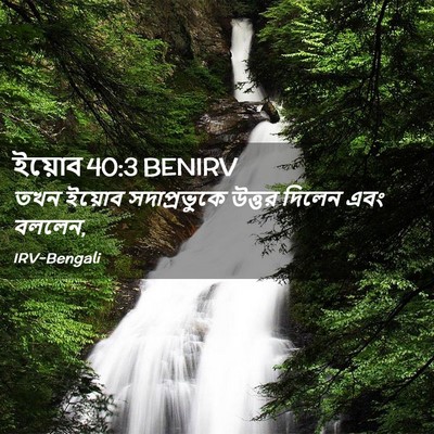 Picture 02 - ইয়োব 40:3 BENIRV - তখন ইয়োব - Bible Verse Picture