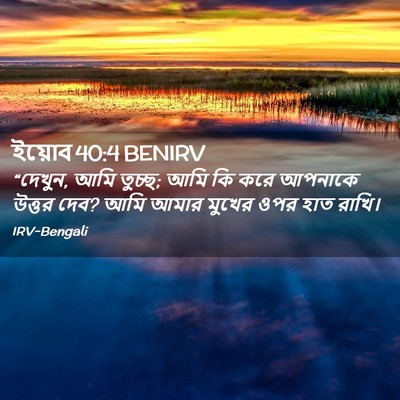 Picture 02 - ইয়োব 40:4 BENIRV - “দেখুন, আমি তুচ্ছ; - Bible Verse Picture