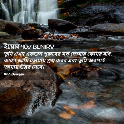 Picture 02 - ইয়োব 40:7 BENIRV - তুমি এখন একজন - Bible Verse Picture