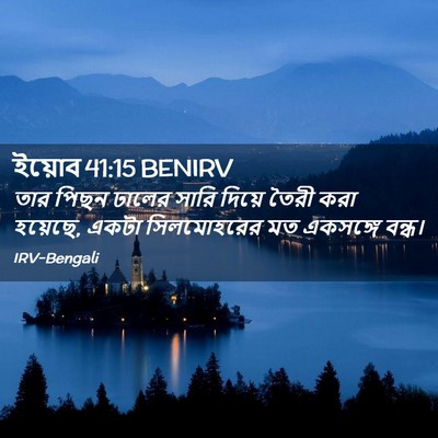 Picture 02 - ইয়োব 41:15 BENIRV - তার পিছন ঢালের - Bible Verse Picture