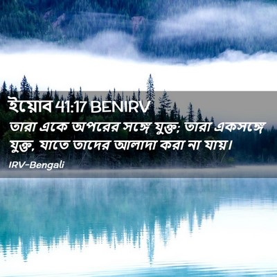 Picture 02 - ইয়োব 41:17 BENIRV - তারা একে অপরের - Bible Verse Picture