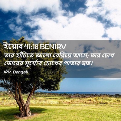 Picture 02 - ইয়োব 41:18 BENIRV - তার হাঁচিতে আলো - Bible Verse Picture