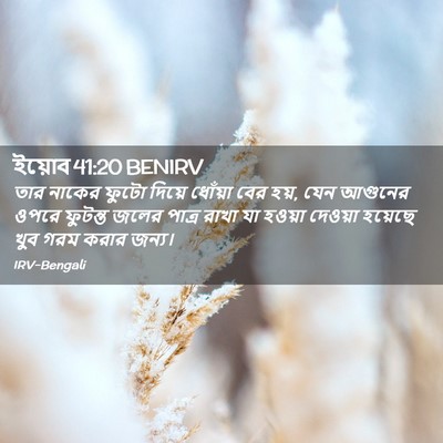 Picture 02 - ইয়োব 41:20 BENIRV - তার নাকের ফুটো - Bible Verse Picture