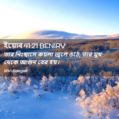 Picture 02 - ইয়োব 41:21 BENIRV - তার নিঃশ্বাসে - Bible Verse Picture