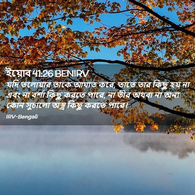 Picture 02 - ইয়োব 41:26 BENIRV - যদি তলোয়ার তাকে - Bible Verse Picture