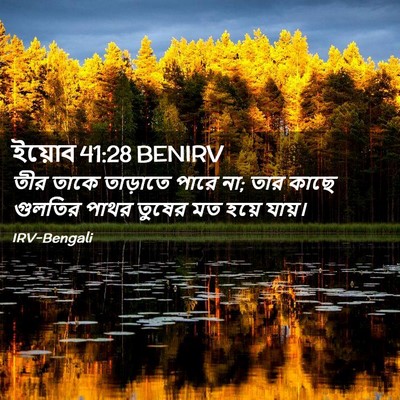 Picture 02 - ইয়োব 41:28 BENIRV - তীর তাকে তাড়াতে - Bible Verse Picture