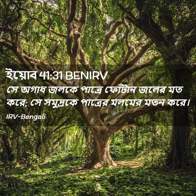 Picture 02 - ইয়োব 41:31 BENIRV - সে অগাধ জলকে - Bible Verse Picture