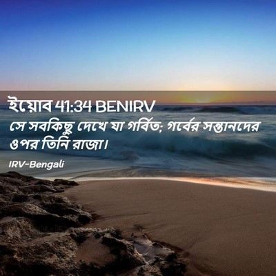 Picture 02 - ইয়োব 41:34 BENIRV - সে সবকিছু দেখে যা - Bible Verse Picture
