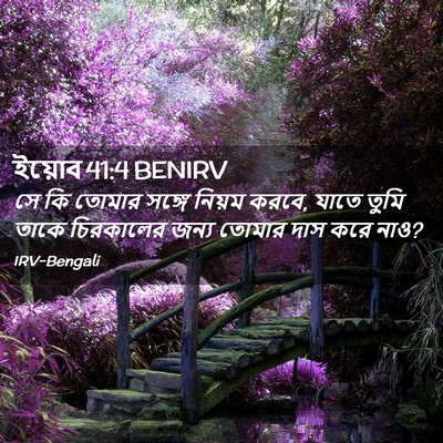 Picture 02 - ইয়োব 41:4 BENIRV - সে কি তোমার সঙ্গে - Bible Verse Picture