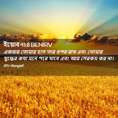 Picture 02 - ইয়োব 41:8 BENIRV - একবার তোমার হাত - Bible Verse Picture