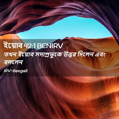 Picture 02 - ইয়োব 42:1 BENIRV - তখন ইয়োব - Bible Verse Picture