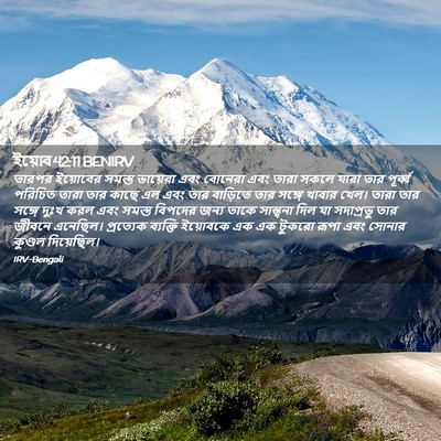 Picture 02 - ইয়োব 42:11 BENIRV - তারপর ইয়োবের - Bible Verse Picture
