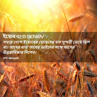 Picture 02 - ইয়োব 42:15 BENIRV - সমস্ত দেশে - Bible Verse Picture