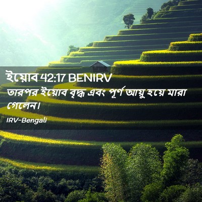 Picture 02 - ইয়োব 42:17 BENIRV - তারপর ইয়োব বৃদ্ধ - Bible Verse Picture