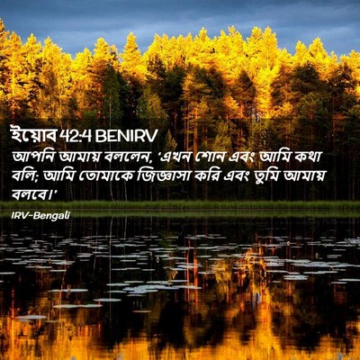 Picture 02 - ইয়োব 42:4 BENIRV - আপনি আমায় বললেন, - Bible Verse Picture