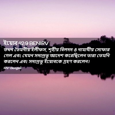 Picture 02 - ইয়োব 42:9 BENIRV - তখন তৈমনীয় ইলীফস, - Bible Verse Picture