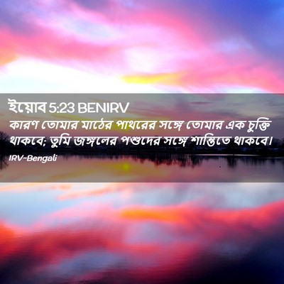 Picture 02 - ইয়োব 5:23 BENIRV - কারণ তোমার মাঠের - Bible Verse Picture