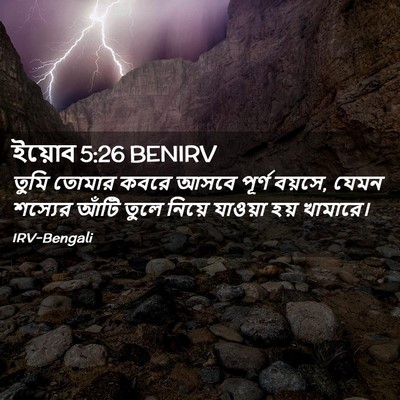 Picture 02 - ইয়োব 5:26 BENIRV - তুমি তোমার কবরে - Bible Verse Picture