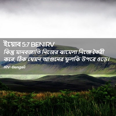 Picture 02 - ইয়োব 5:7 BENIRV - কিন্তু মানবজাতি - Bible Verse Picture