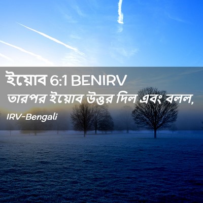 Picture 02 - ইয়োব 6:1 BENIRV - তারপর ইয়োব উত্তর - Bible Verse Picture