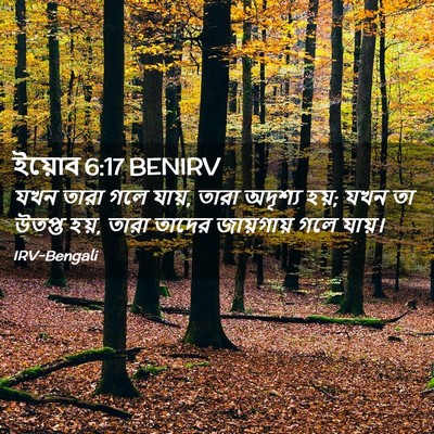 Picture 02 - ইয়োব 6:17 BENIRV - যখন তারা গলে যায়, - Bible Verse Picture