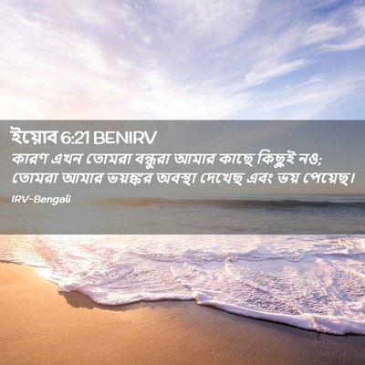 Picture 02 - ইয়োব 6:21 BENIRV - কারণ এখন তোমরা - Bible Verse Picture
