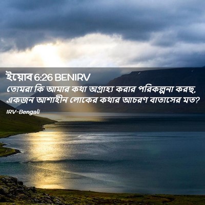 Picture 02 - ইয়োব 6:26 BENIRV - তোমরা কি আমার কথা - Bible Verse Picture