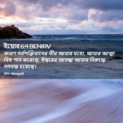 Picture 02 - ইয়োব 6:4 BENIRV - কারণ - Bible Verse Picture