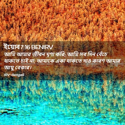 Picture 02 - ইয়োব 7:16 BENIRV - আমি আমার জীবন ঘৃণা - Bible Verse Picture