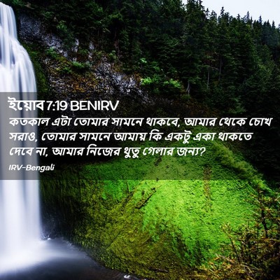 Picture 02 - ইয়োব 7:19 BENIRV - কতকাল এটা তোমার - Bible Verse Picture