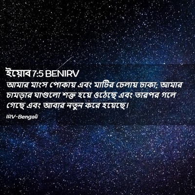 Picture 02 - ইয়োব 7:5 BENIRV - আমার মাংস পোকায় - Bible Verse Picture
