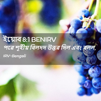 Picture 02 - ইয়োব 8:1 BENIRV - পরে শূহীয় বিলদদ - Bible Verse Picture