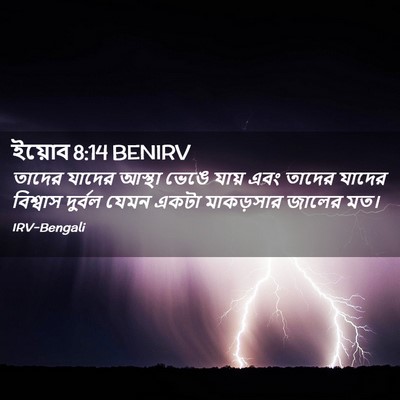 Picture 02 - ইয়োব 8:14 BENIRV - তাদের যাদের আস্থা - Bible Verse Picture