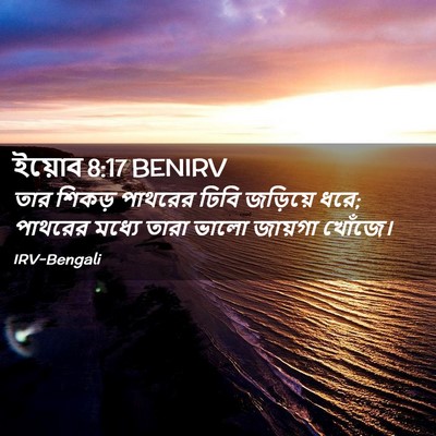 Picture 02 - ইয়োব 8:17 BENIRV - তার শিকড় পাথরের - Bible Verse Picture