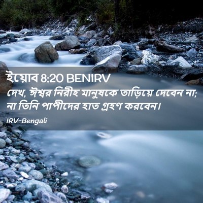 Picture 02 - ইয়োব 8:20 BENIRV - দেখ, ঈশ্বর নিরীহ - Bible Verse Picture