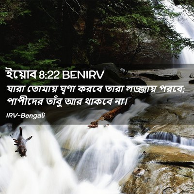 Picture 02 - ইয়োব 8:22 BENIRV - যারা তোমায় ঘৃণা - Bible Verse Picture
