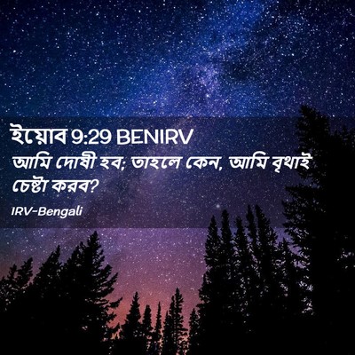 Picture 02 - ইয়োব 9:29 BENIRV - আমি দোষী হব; তাহলে - Bible Verse Picture