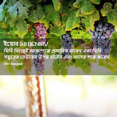 Picture 02 - ইয়োব 9:8 BENIRV - যিনি নিজেই আকাশকে - Bible Verse Picture