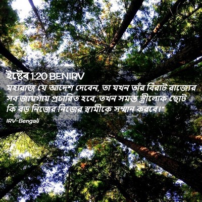 Picture 02 - ইষ্টেৰ 1:20 BENIRV - মহারাজ যে আদেশ - Bible Verse Picture