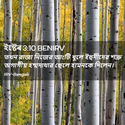 Picture 02 - ইষ্টেৰ 3:10 BENIRV - তখন রাজা নিজের - Bible Verse Picture